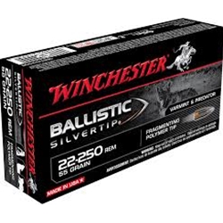 WINCHESTER (SBST22250B) BALLISTIC SILVERTIP 22-250, 55GR