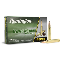 REMINGTON RT300WC