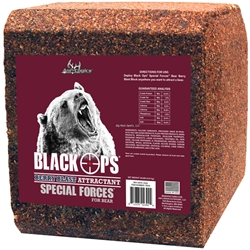 ANI LOGICS BLOCK BEAR SF BERRY