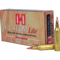 HORNADY 80466