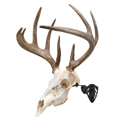 ALLEN 7254 EZ Mount Trophy Skull Hanger - Black