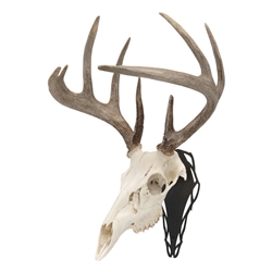 ALLEN 7233 EZ Mount Silhouette Skull Peg - Black